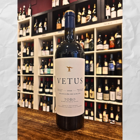Vetus 2022 - Tinto D.O. Toro | Bodegas Vetus (Grupo Artevino)