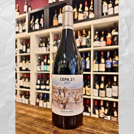 Cepa 21 2022 - Tinto Ribera del Duero | 91 Pts Peñín | Familia Moro