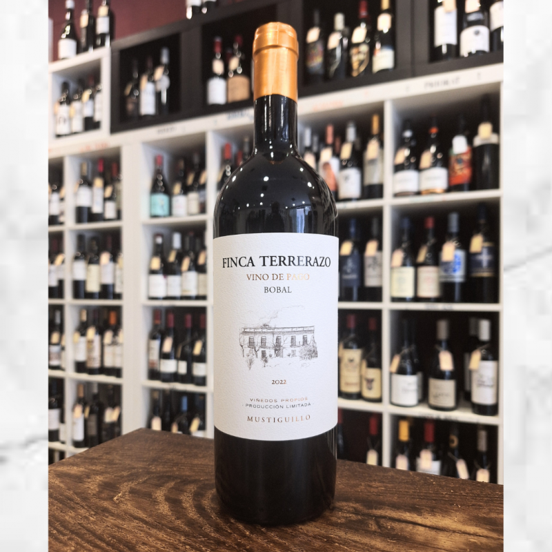 Finca Terrerazo 2023 - DOP El Terrerazo | 95 Pts Parker | Mustiguillo