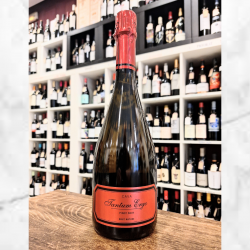 Cava Tantum Ergo Pinot Noir Brut Nature | Bodegas Hispano Suizas